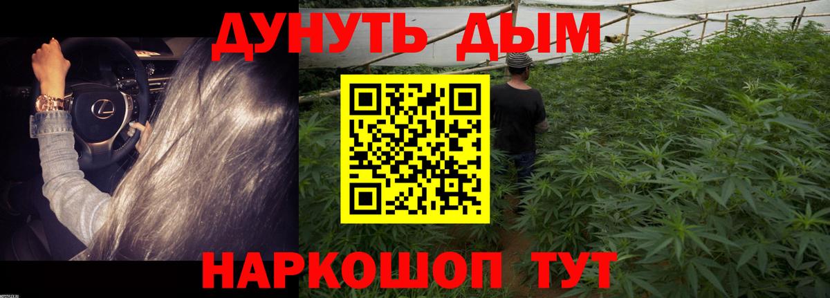 Марихуана план  Канабис ГИДРОПОН  Вход с VPN  Орёл  Бошки Шишки план  Марихуана AK-47 